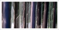 Aileen Drohan photography